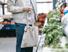 Tickets restaurant en intérim : on vous dit tout !
