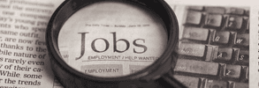 Job alert immediati: con iziwork la selezione è più veloce