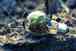 Green Jobs: quali sono le prospettive?
