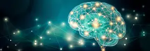 Le neuroscienze e il mondo del lavoro: cosa ci insegnano davvero