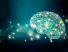 Le neuroscienze e il mondo del lavoro: cosa ci insegnano davvero