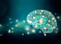 Le neuroscienze e il mondo del lavoro: cosa ci insegnano davvero