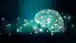 Le neuroscienze e il mondo del lavoro: cosa ci insegnano davvero